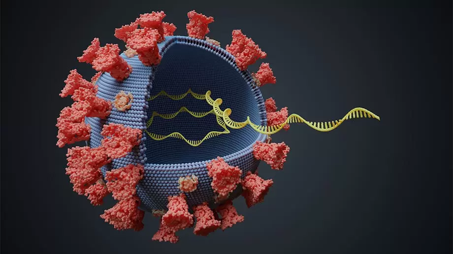 Comparing SARS-CoV-2 natural immunity to vaccine-induced immunity: reinfections versus breakthrough infections