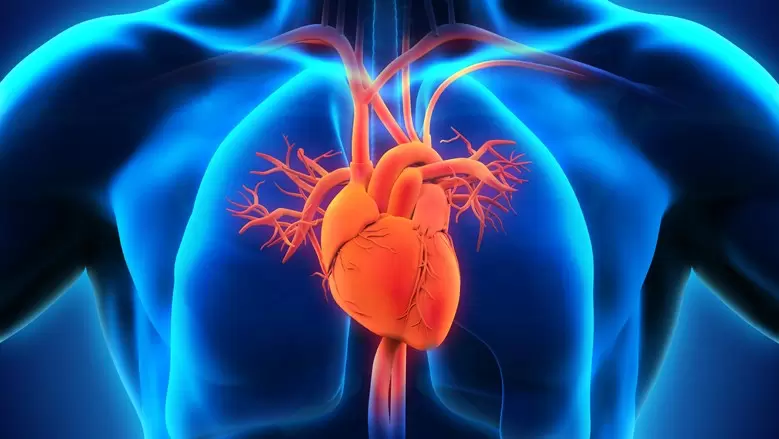 New study: 133x risk of myocarditis after COVID vaccination