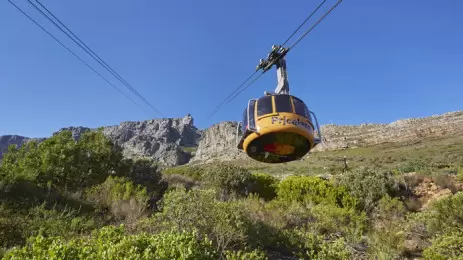 Cape Town Tourism providing discounts and free access for the vaccinated